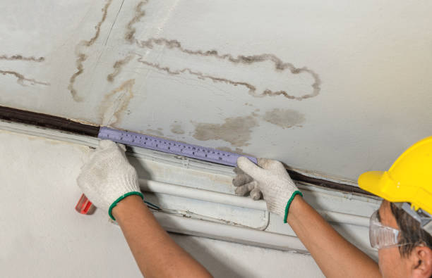 Affordable Water Damage Repair solutions in Circle Pines, MN
